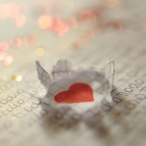 Organic Progesterone Serenity Bio Identical Progesterone Cream PMS Menopause Infertility Osteoporosis